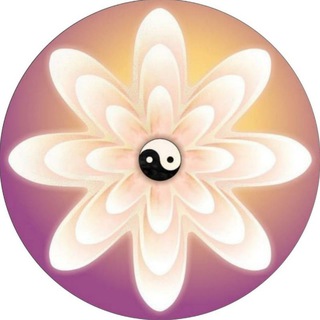 Gruppe - Lotosblüte Soul Power