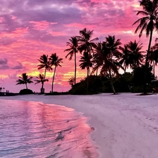 Знакомства Владикавказ Девушки