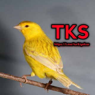 Türkiye Kuş Sahiplendirme (TKS)