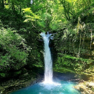 Абхазия Тур Чат