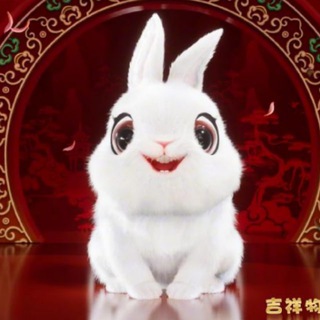 兔圆圆