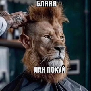 Чат Ценителей Искусства 🦁