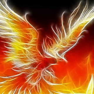 Phượng Hoàng Đen