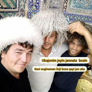 Меваларга буюртма қабул қиламиз!!! Улуғбек Отабоев🍒🍒🍑🍓🍓🍎🥭🍇🍊🍏🍐🍏🍎🍐🍑🥭🍒