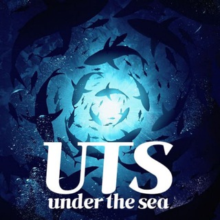 🐬𝙐𝙏𝙎(𝙐𝙣𝙙𝙚𝙧 𝙏𝙝𝙚 𝙎𝙀𝘼)