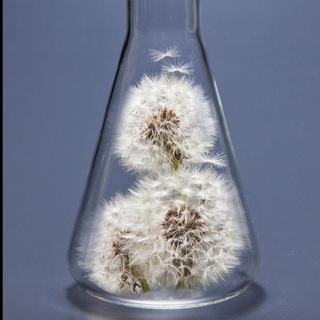 User Crypto Indonesia