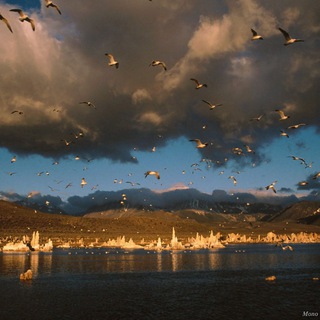 Знакомства Хорошево Мневники