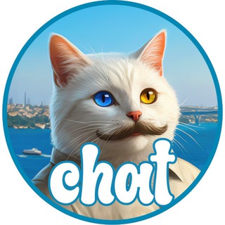 vankedisicoin - chat