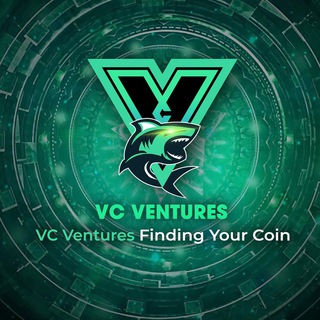 VC Ventures | Finding Your Coin