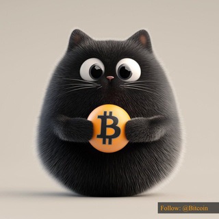 Bitcat - Bitcoin’s Mascot