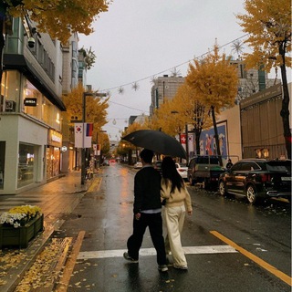 ‌ ‌ ‌ ‌ ‌ ‌ㅤVENECIA NEWS .