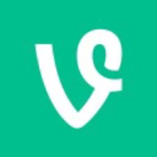 $VINE COIN OFFICIAL COMMUNITY
