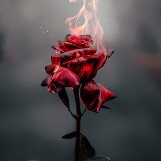 Вінниця Знайомство 🍃