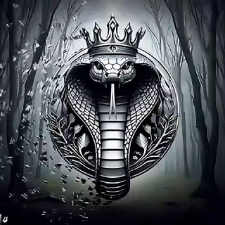 VIPER KING TOKEN | GLOBAL