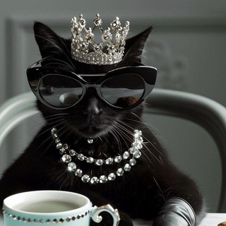 𝐑𝐞𝐤𝐥𝐚𝐦 𝐐𝐮𝐫𝐮𝐩𝐮