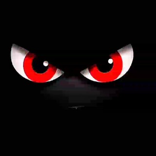 ✨️𝙑⭕️𝙞𝙘𝙚 𝘽⭕️𝙭 ✨️