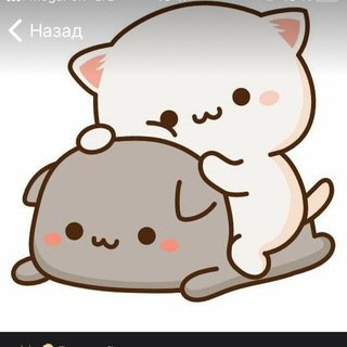 ВЗАИМНЫЙ | ПИАР