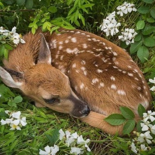Взаимный пиар 🤎 взаимно