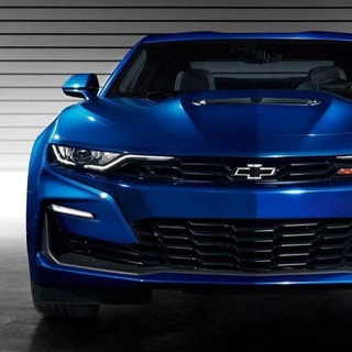 🎖نمایشگاه داران جنوب ایران🎖