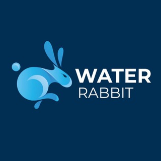 Water Rabbit 水兔令牌 {$WAR-RIORS}