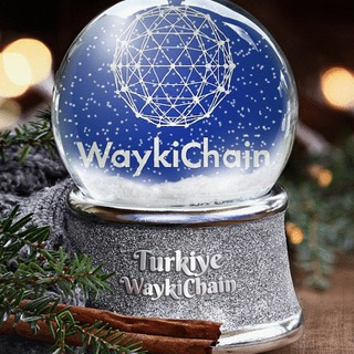 Waykichain Turkiye World Cup 2022