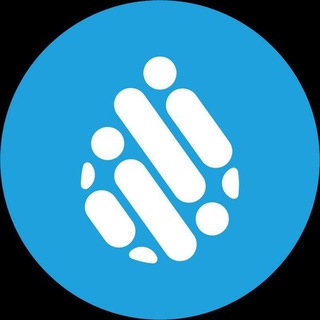 The WFA Network 🚰