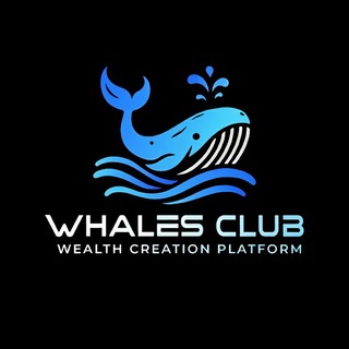 Whales Club - Chat