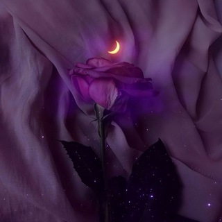 🌨️𝀓𝗪 ɪ ꜱ ᴛ ֟፝ᴇ ʀ ɪ ᴀ𝀤🎀𝀤𝗩 ɪ ֟፝ɴ ᴇ𝀢🪻҈𝀗