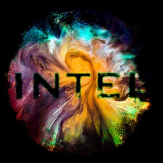 Woke Intelligence (OSINT Chat)