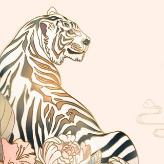 皮卡丘出海交流群 超级引流团队