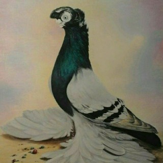 ꯭‣꯭✨꯭ཽ𝄥꯭🇺🇿꯭𝄥꯭ 1꯭2꯭꯭𝐕‌꯭𝐈𝐋‌꯭𝐎‌꯭𝐘‌꯭𝐀‌꯭𝐓‌꯭ ꯭𝐊‌꯭𝐀‌꯭𝐏‌꯭𝐓‌꯭𝐀‌꯭𝐑‌꯭𝐁‌꯭𝐎‌꯭𝐙‌꯭𝐋‌꯭𝐀‌꯭𝐑‌ ꯭🇺🇿꯭𝄥꯭꯭ཽ✨꯭‣꯭