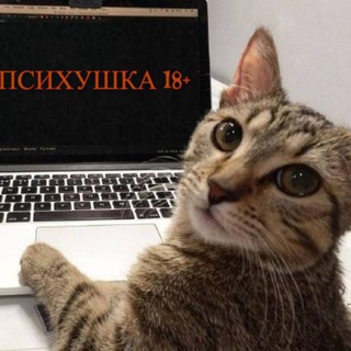 ПСИХУШКА 18+ 🏥