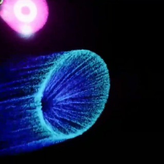 Знакомства Ямайка,Раста