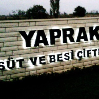 Yaprak süt hisse sohbet