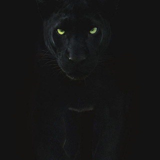 DOSTLAR MECLİSİ 🤲