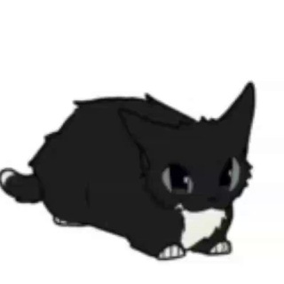 Группа для общения💗/знакомства💕/друзья☺️/войс чат😋/пубертатная язва 💋