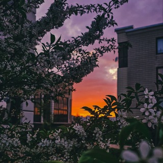 Соседи. Микрорайон Южный (район Троицк, Южные Ватутинки)