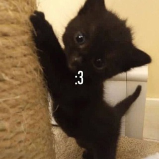 Общение|знакомства