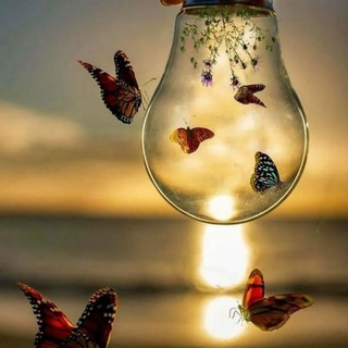 Общение, знакомства Забайкалье