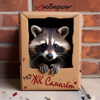 ЖК Самолёт ✈️