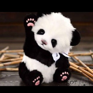 🧚SOHBET SEVENLER🧚