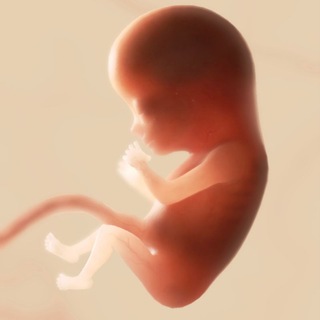 🤱Будущие мамы и мамы 🤰 | Севастополь | Крым