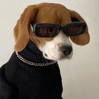 Знакомства|Поиск 2 половинки❤️