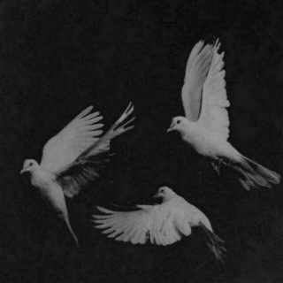 Зерикканла / УЙДА КОЛИНГ !! (КАРАНТИН)