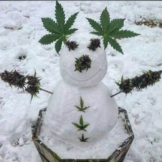 Знакомства, юмор, музыка и т.п.