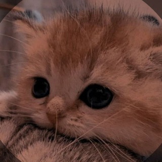 Чатик для общения|или больше ❤️