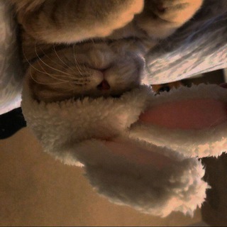 Знакомста с Орска°^°