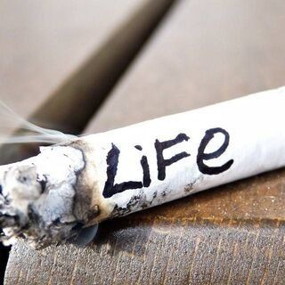 Каменское знакомства