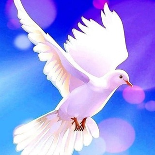 Знакомства