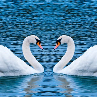 Я, Краснопавловка и многое другое)